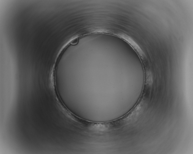 X0000102470806200808151427
