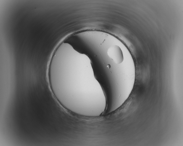 X0000102470807200808151427
