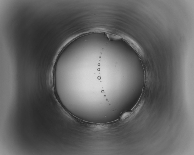 X0000102470808200808151427