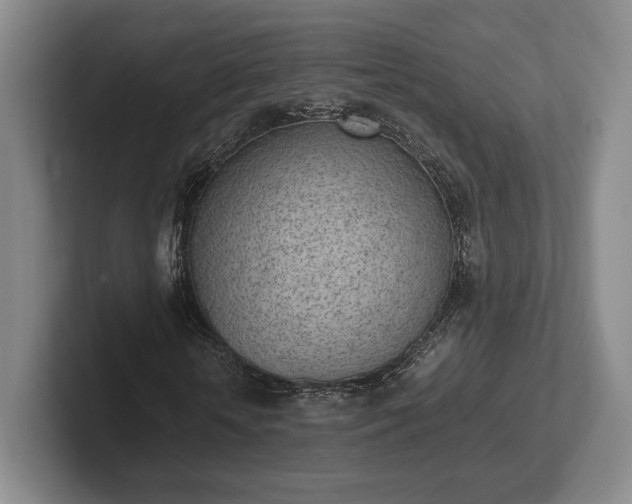 X0000102470818200808151426