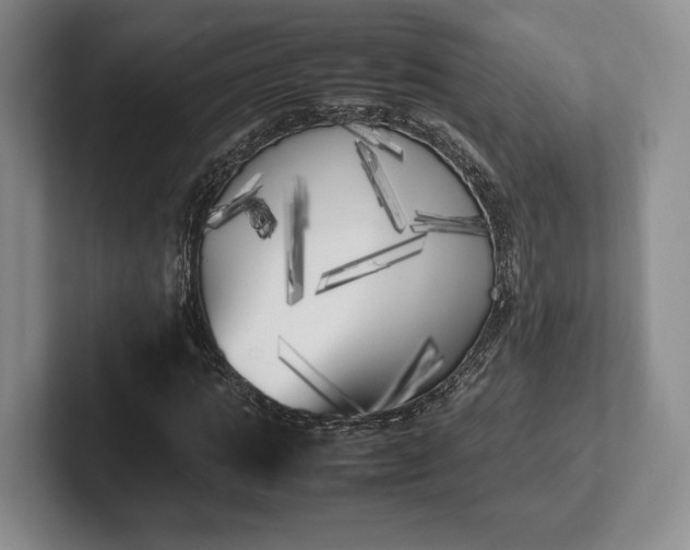 X0000102470821200808151426