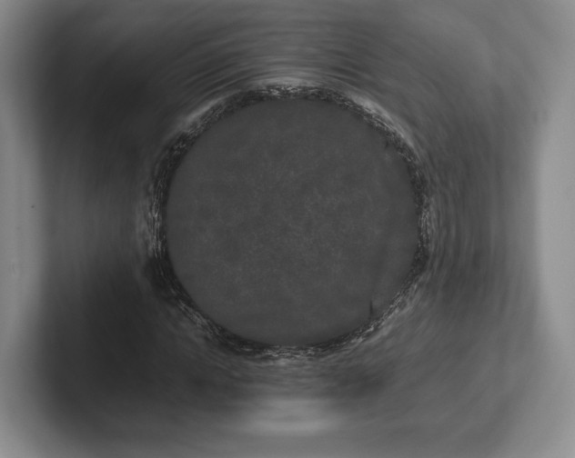 X0000102470822200808151426