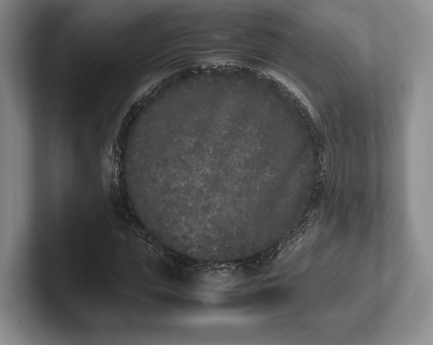 X0000102470823200808151426