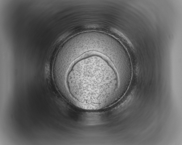X0000102470825200808151426