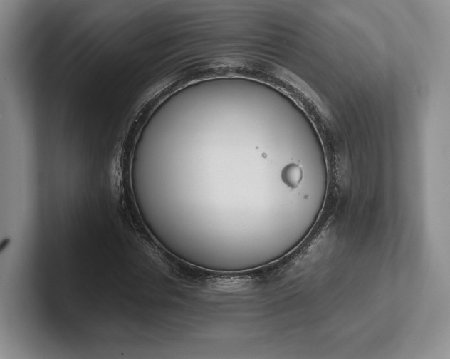 X0000102470826200808151426