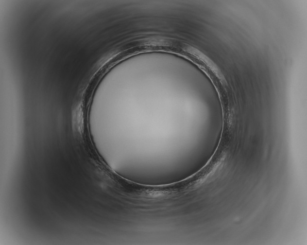 X0000102470829200808151426