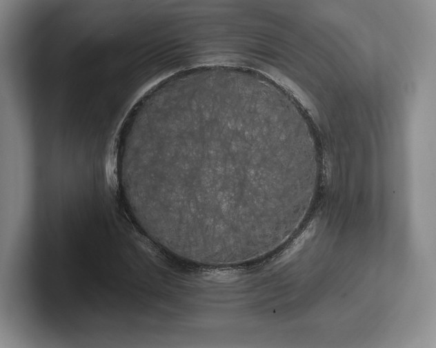 X0000102470830200808151426