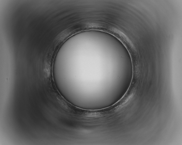 X0000102470833200808151426