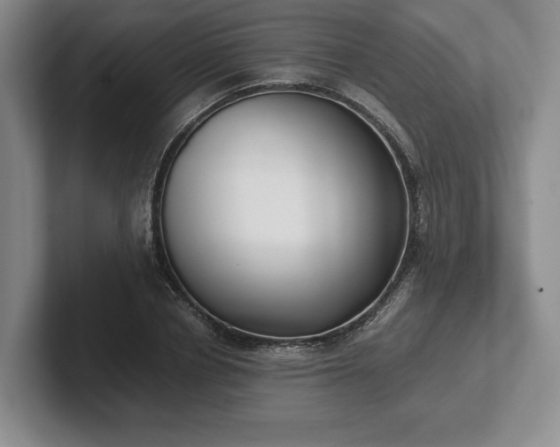 X0000102470834200808151426
