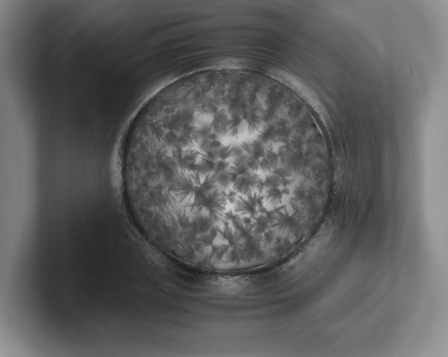 X0000102470835200808151426