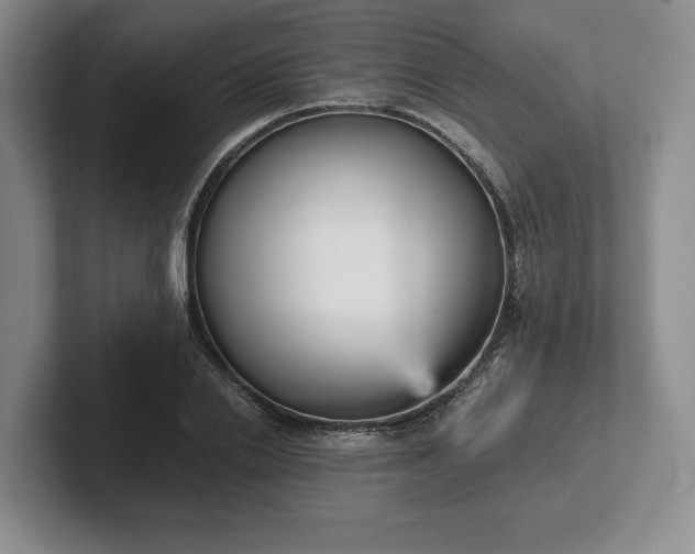X0000102470838200808151426