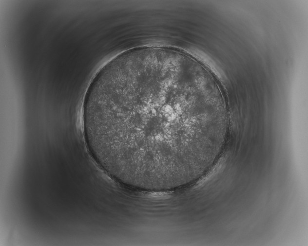 X0000102470839200808151426