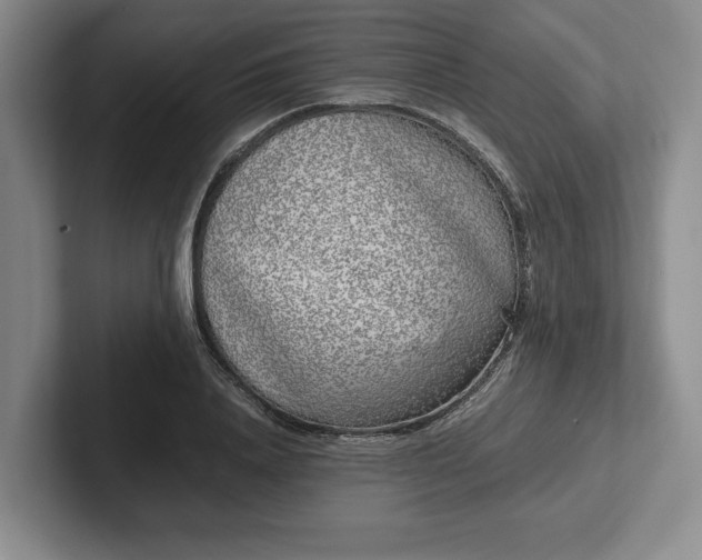 X0000102470840200808151426