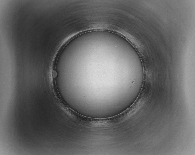 X0000102470846200808151426