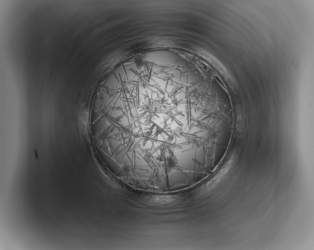 X0000102470849200808151426