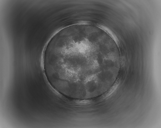 X0000102470851200808151427