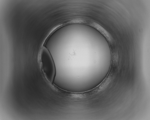 X0000102470852200808151427