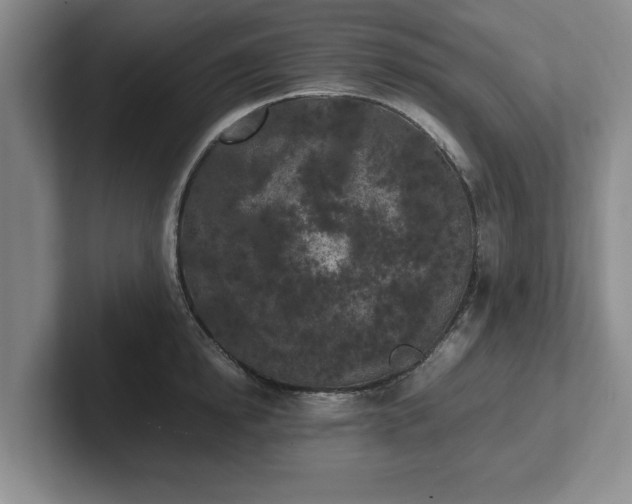 X0000102470854200808151427