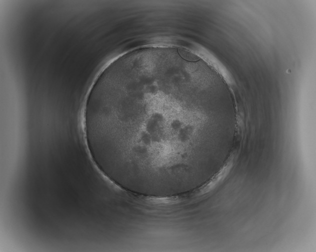 X0000102470855200808151427