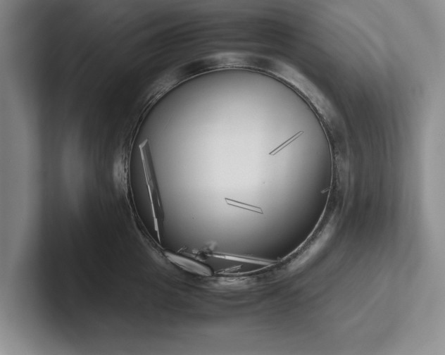 X0000102470857200808151427