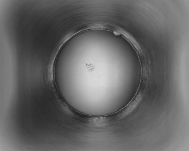 X0000102470858200808151427