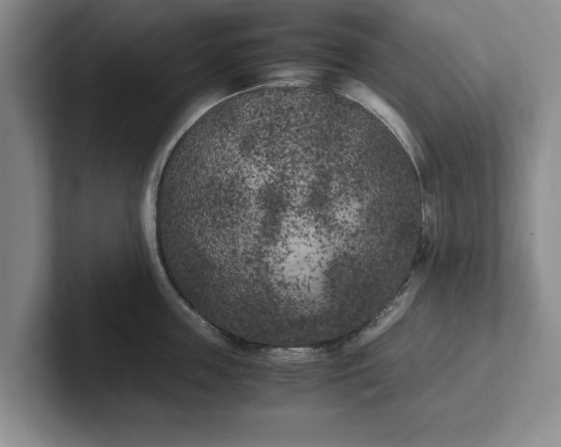 X0000102470859200808151427