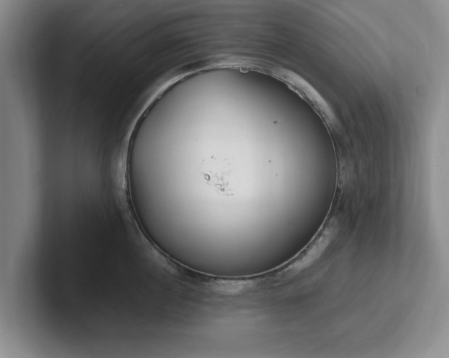 X0000102470860200808151427