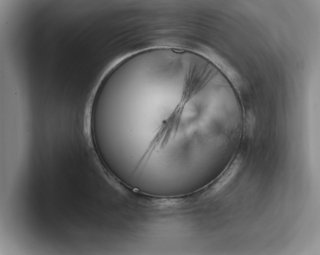 X0000102470862200808151427