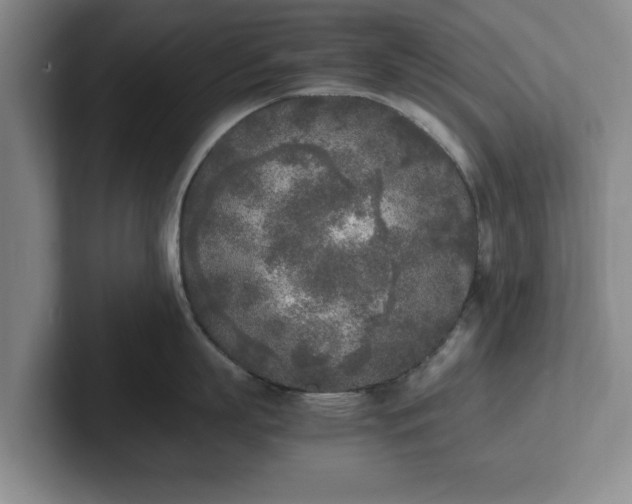 X0000102470863200808151427