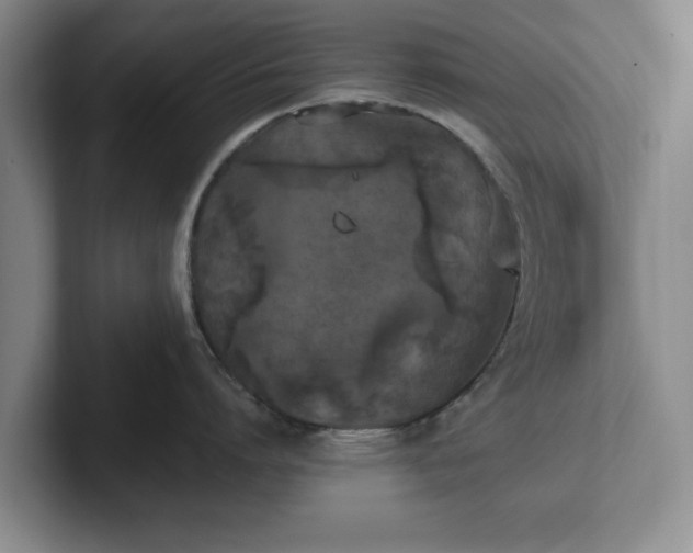 X0000102470864200808151427
