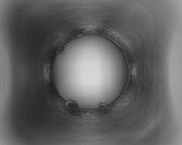 X0000102470868200808151426