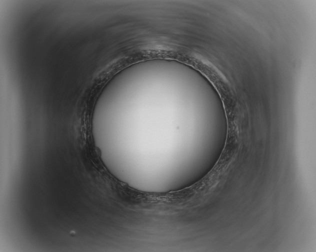X0000102470870200808151426