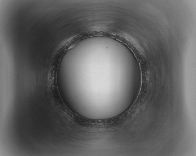 X0000102470872200808151426