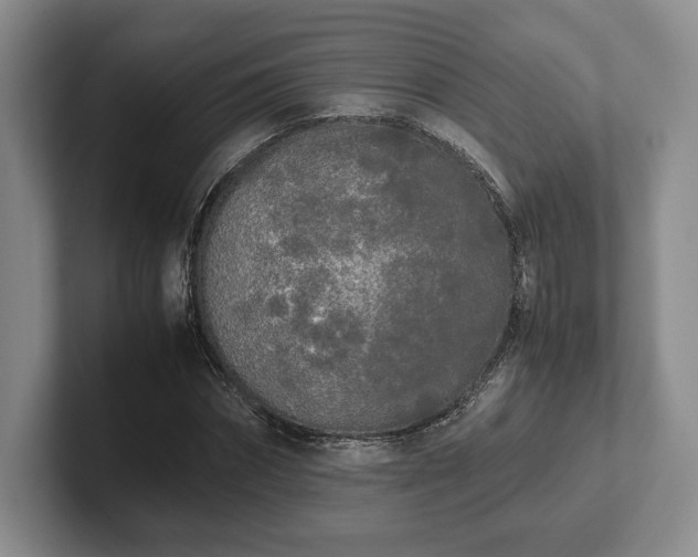 X0000102470874200808151426