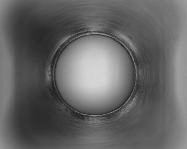 X0000102470875200808151426