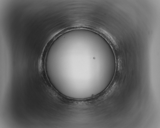 X0000102470876200808151426