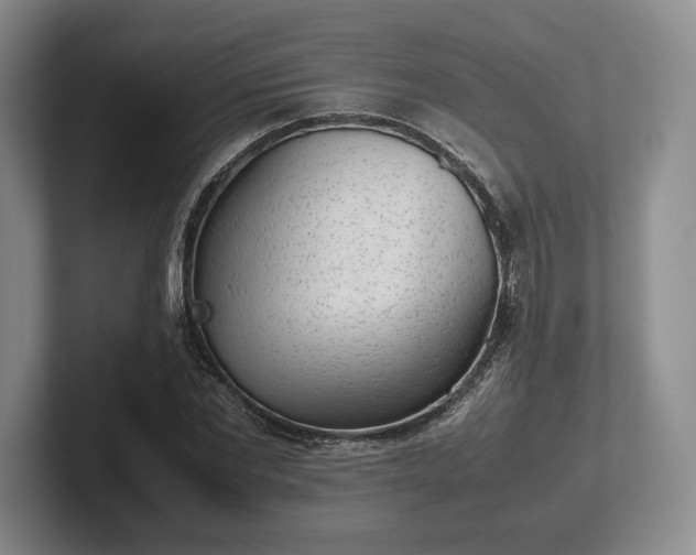 X0000102470877200808151426