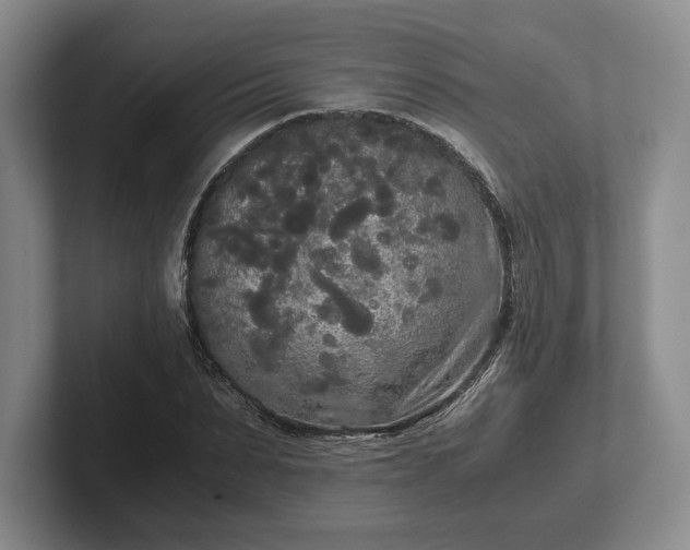 X0000102470879200808151426