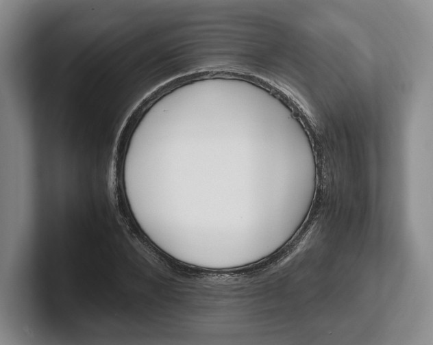 X0000102470880200808151426