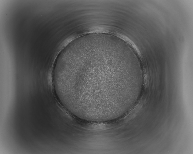 X0000102470882200808151426