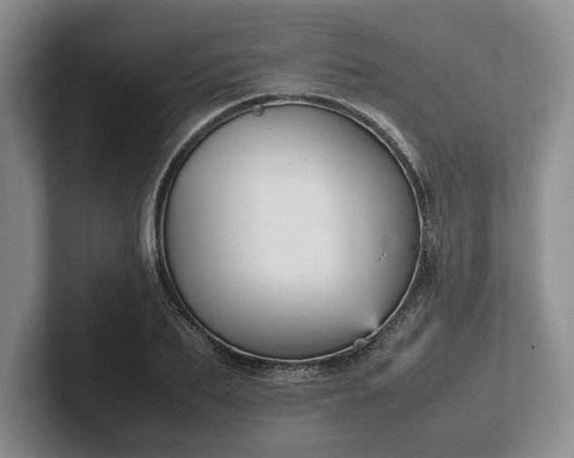 X0000102470887200808151426