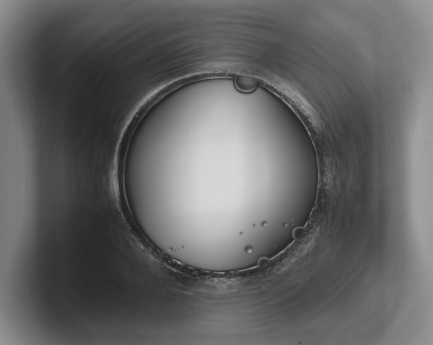 X0000102470888200808151426
