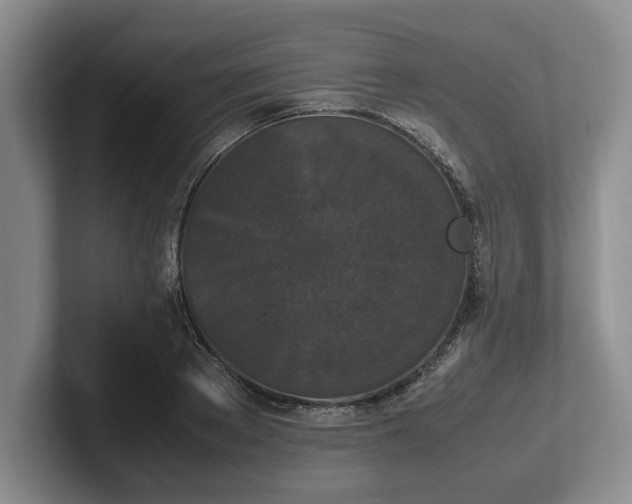 X0000102470889200808151426