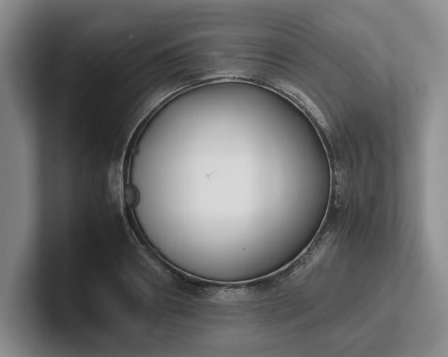 X0000102470890200808151426