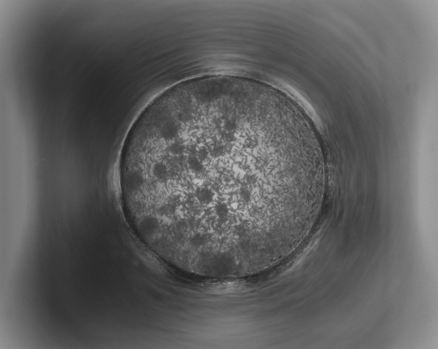 X0000102470891200808151426