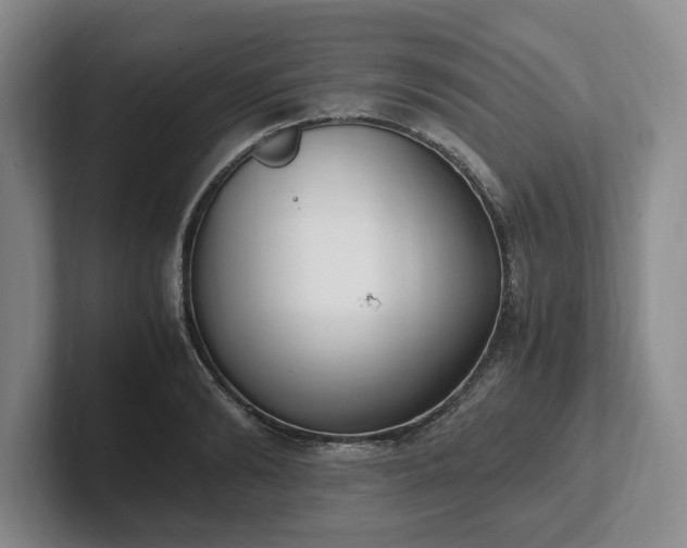 X0000102470894200808151426