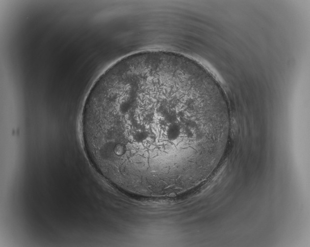 X0000102470895200808151426