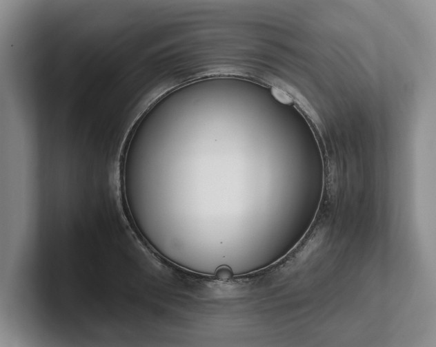 X0000102470898200808151426