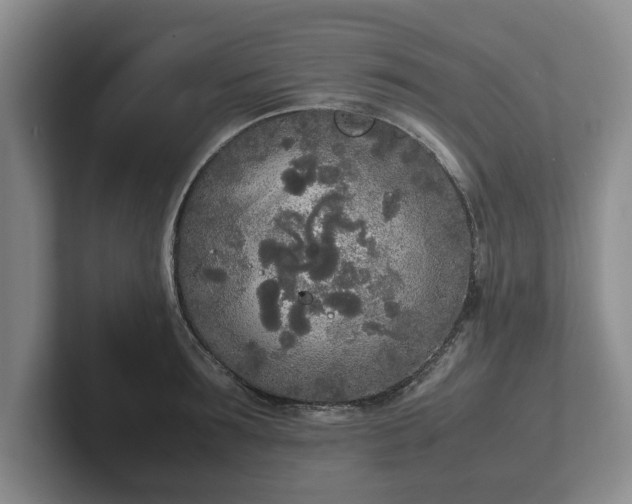X0000102470899200808151426
