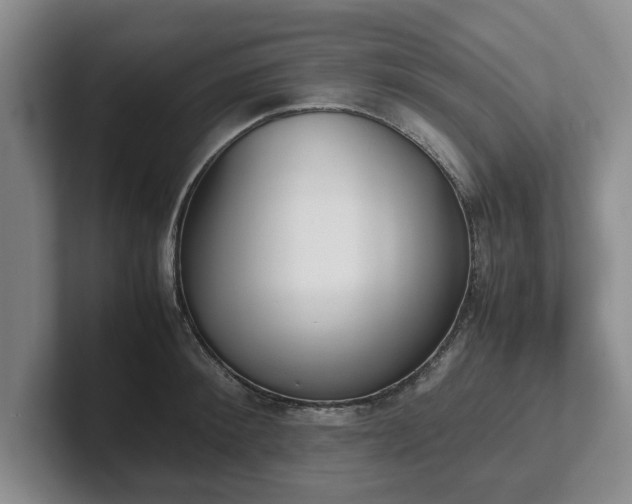 X0000102470900200808151425